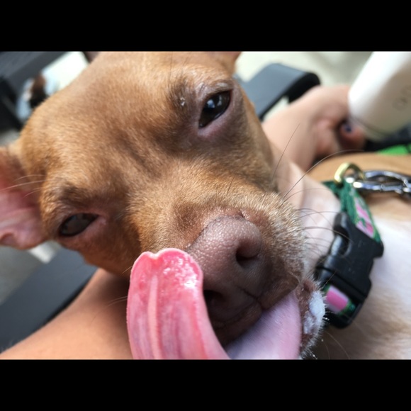 Meet your Posher, Eva - Picture 4 of 5